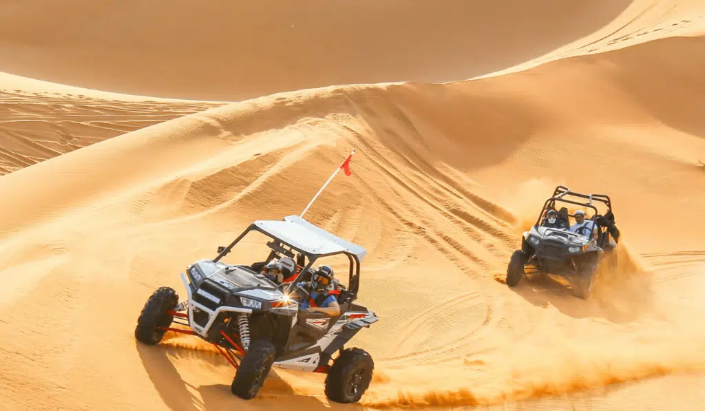 Desert Buggy Driving Experience