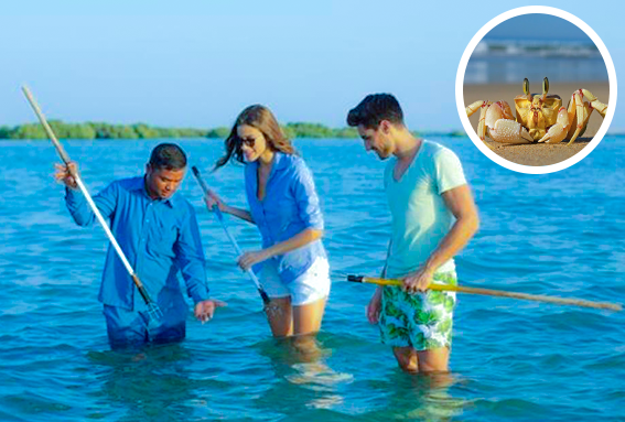 Crab Hunting Dubai