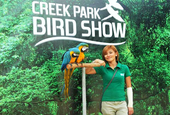 Creek Park Bird Show