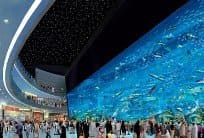 Dubai Mall Aquarium With Underwater Zoo