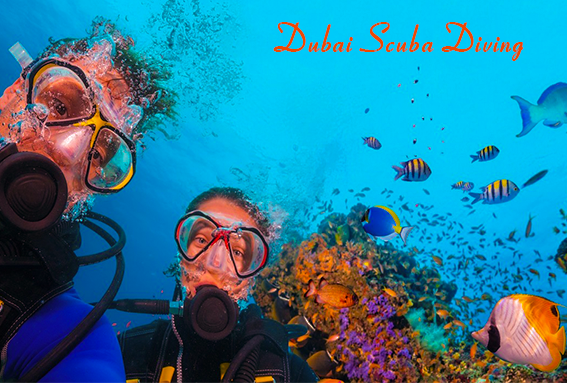 Scuba Diving At Jumeirah Beach 30 Min Session