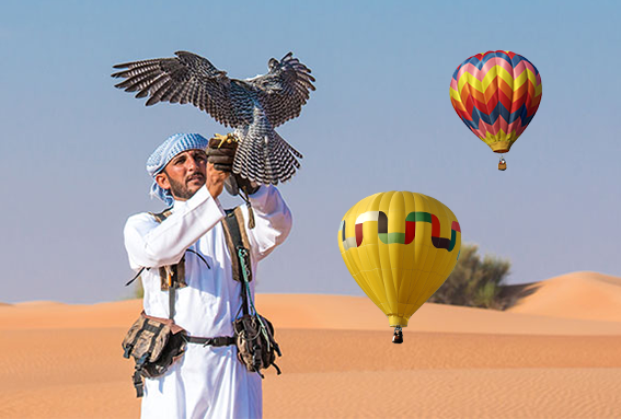 Hot Air Balloon Comfort Flight And Falcon Show