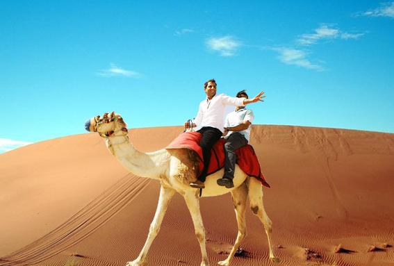 Morning Camel Trekking Experience