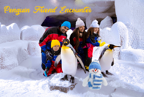 Penguin Friend Encounter
