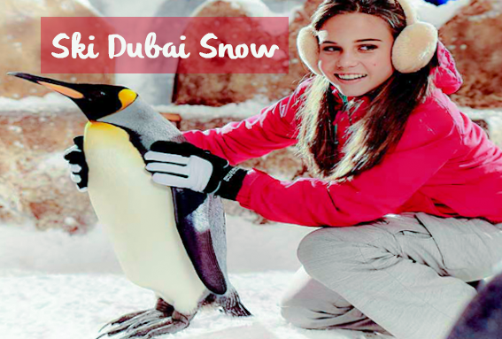 Ski Dubai Snow Premium With Penguin Encounter