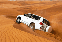 Sun Downer Desert Safari With Camel Ridding & Dinner Buffet