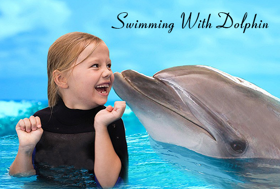 Swimming With Dolphins At Dubai Dolphinarium