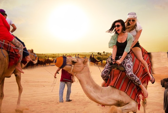 VIP Desert Safari Feel The Luxurious